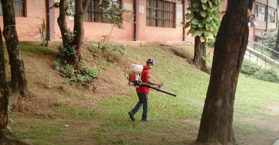 Técnico com pulverizador costal em jardim